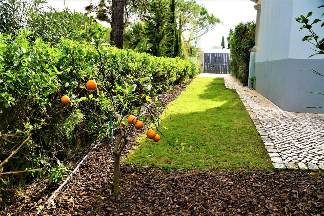 Charming Exceptional Golf Villa In Algarve Faro Exterior photo